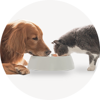 �y�b�g�E�y�b�g�O�b�Y�̉摜